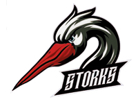 Riedlingen Storks