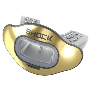 Interchange Lip Giard Mouthpiece + Shield gold chrome